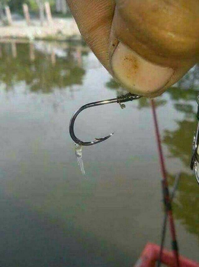 daily picdump 99 pics 30.html - 99 HD Photos | Premium Gallery 2018