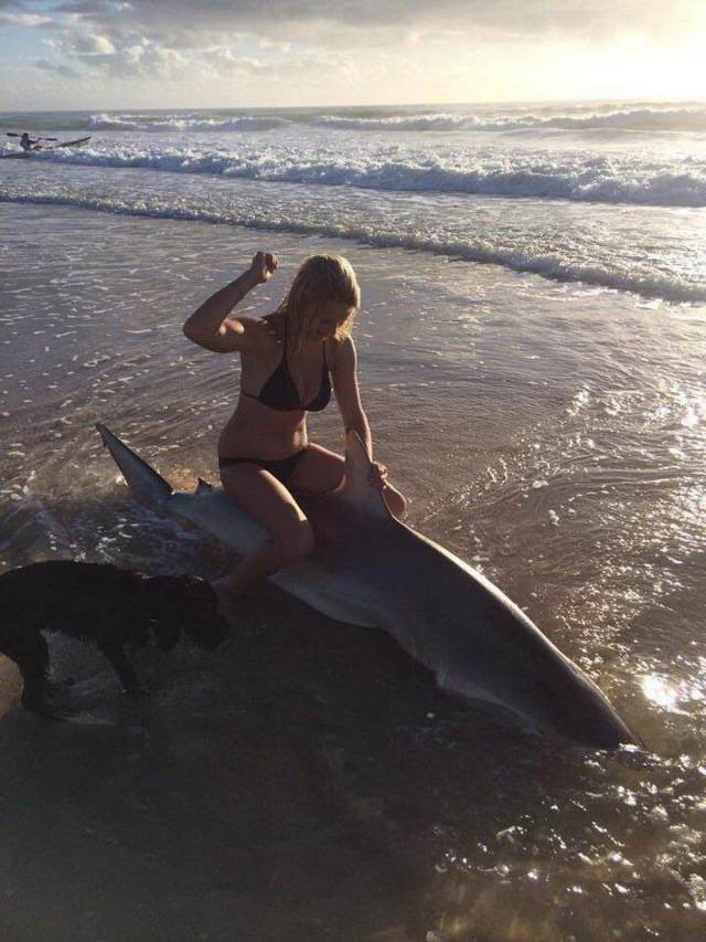 daily picdump 99 pics 30.html - 99 HD Photos | Premium Gallery 2018