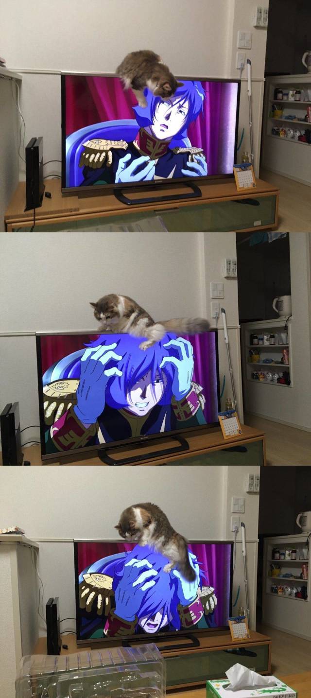 daily picdump 99 pics 30.html - 99 HD Photos | Premium Gallery 2018