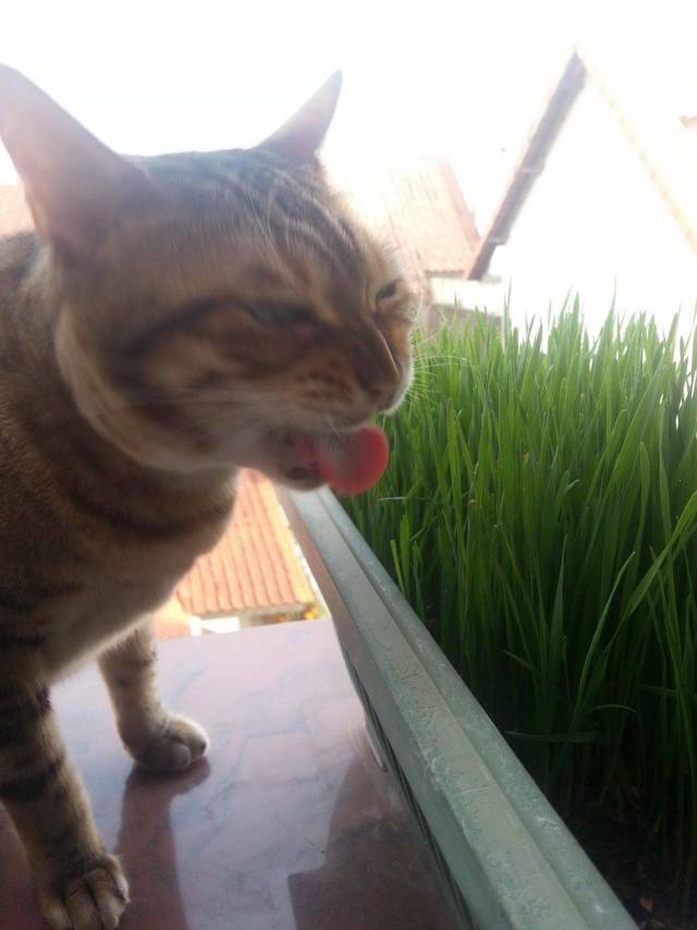 daily picdump 99 pics 30.html - 99 HD Photos | Premium Gallery 2018