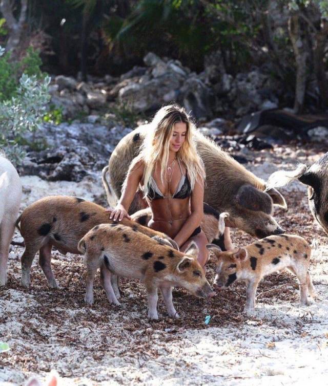 daily picdump 99 pics 30.html - 99 HD Photos | Premium Gallery 2018