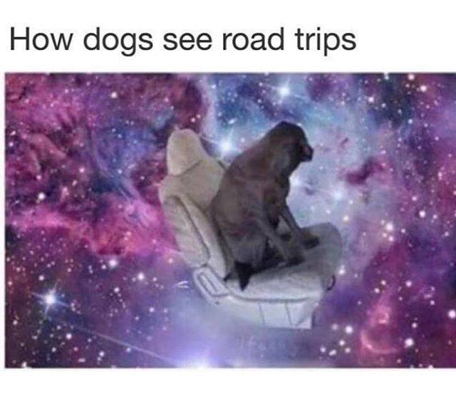 funny picdump 53 pics 24.html - 53 HD Photos | Premium Gallery 2018