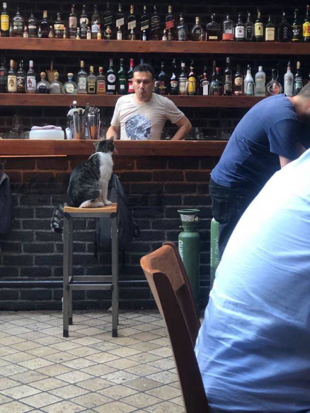 morning picdump 51 pics 5.html - 51 HD Photos | Premium Gallery 2018