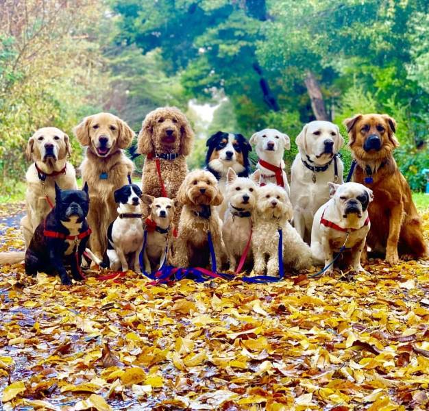 daily picdump 95 pics 46.html - 95 HD Photos | Premium Gallery 2018