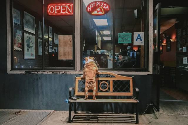 daily picdump 95 pics 46.html - 95 HD Photos | Premium Gallery 2018