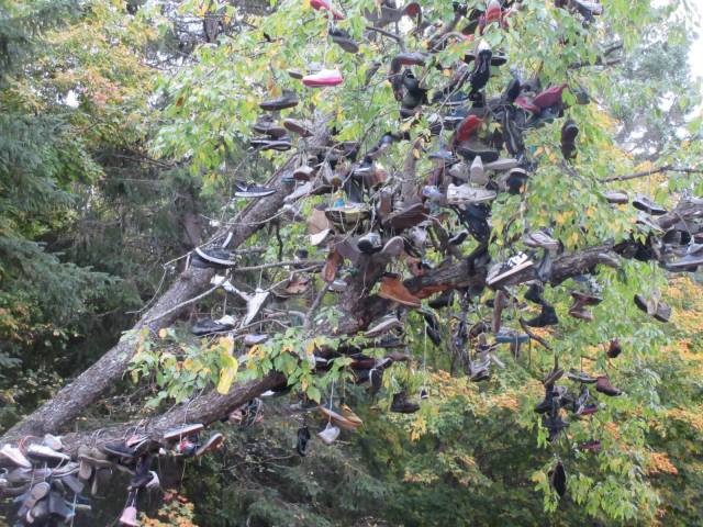 daily picdump 95 pics 46.html - 95 HD Photos | Premium Gallery 2018