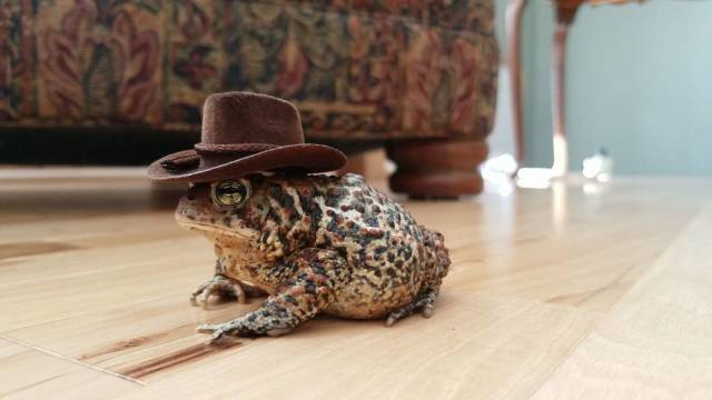 daily picdump 95 pics 46.html - 95 HD Photos | Premium Gallery 2018