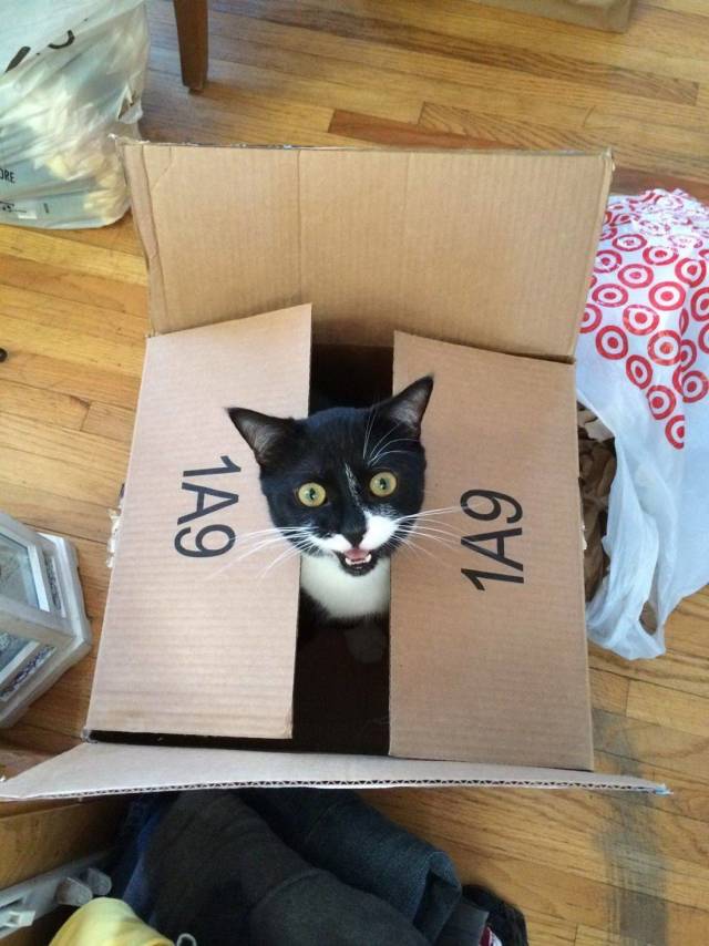 daily picdump 95 pics 46.html - 95 HD Photos | Premium Gallery 2018