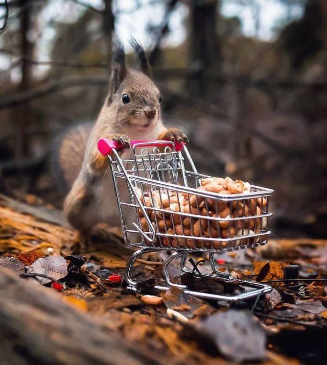 daily picdump 95 pics 46.html - 95 HD Photos | Premium Gallery 2018