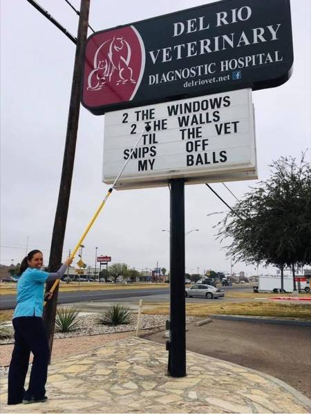 Daily Picdump [WEEKEND EDITION]