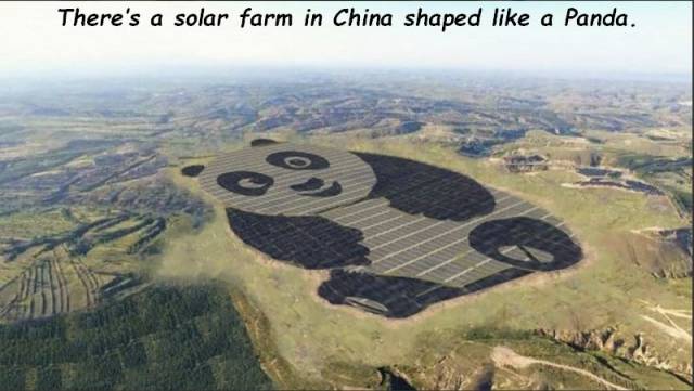 Daily Picdump [WEEKEND EDITION]