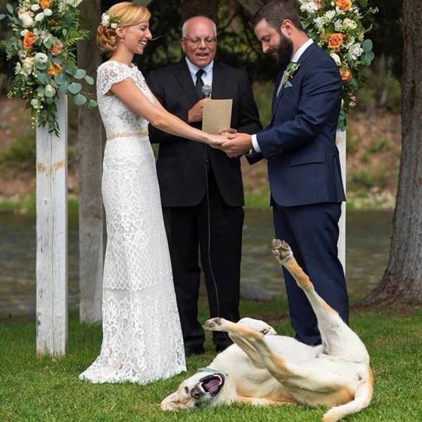 daily picdump weekend edition 72 pics 9.html - 72 HD Photos | Premium Gallery 2018