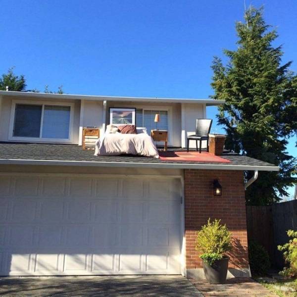 daily picdump weekend edition 72 pics 9.html - 72 HD Photos | Premium Gallery 2018