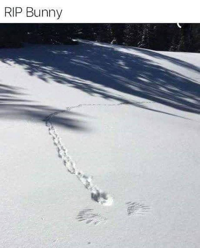 daily picdump weekend edition 72 pics 9.html - 72 HD Photos | Premium Gallery 2018