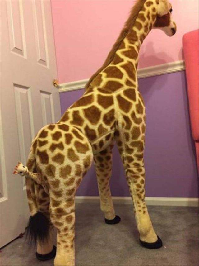 daily picdump weekend edition 72 pics 9.html - 72 HD Photos | Premium Gallery 2018