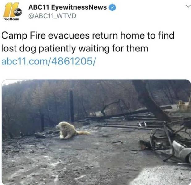 daily picdump 99 pics 41.html - 99 HD Photos | Premium Gallery 2018