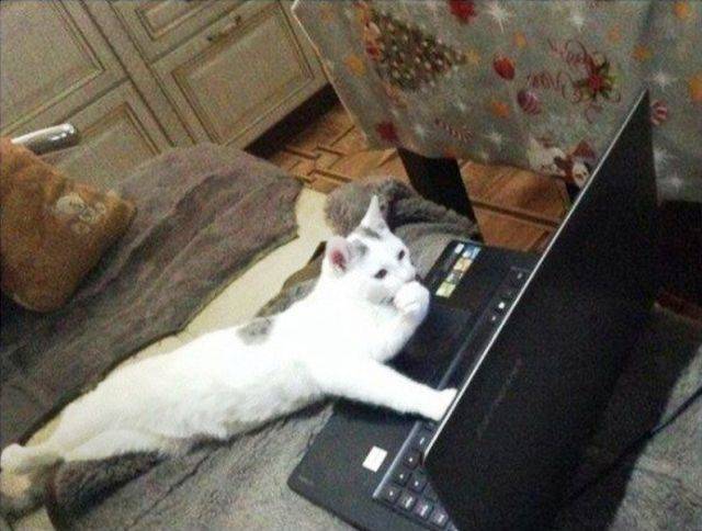 daily picdump 99 pics 41.html - 99 HD Photos | Premium Gallery 2018