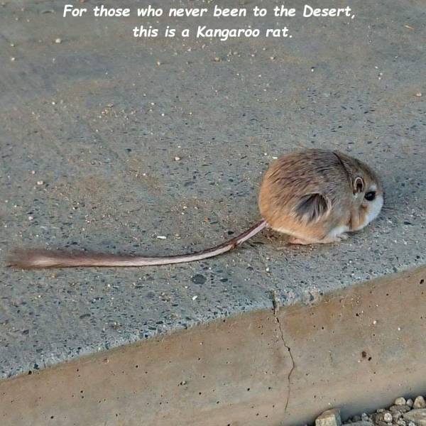 daily picdump 99 pics 41.html - 99 HD Photos | Premium Gallery 2018