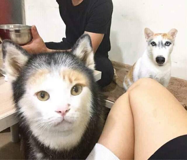 daily picdump 99 pics 41.html - 99 HD Photos | Premium Gallery 2018