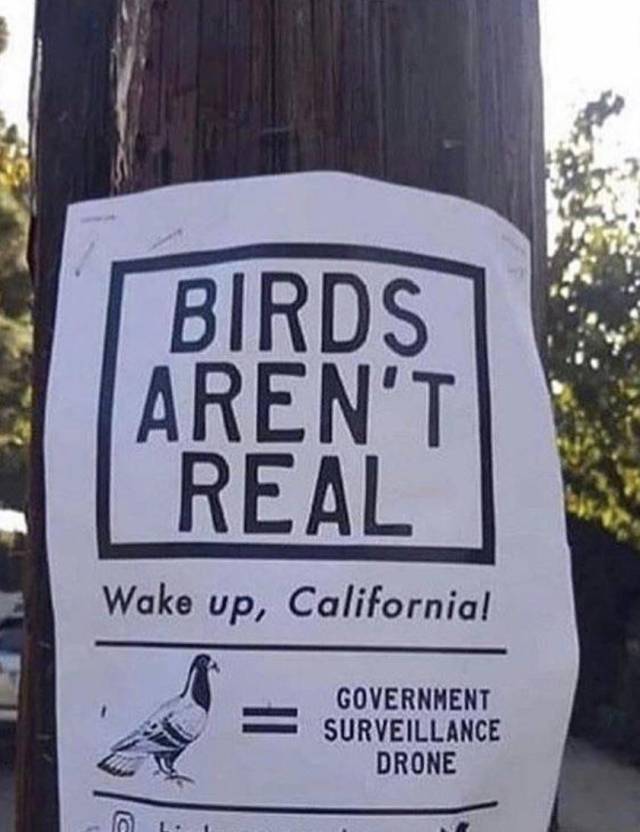 daily picdump 99 pics 41.html - 99 HD Photos | Premium Gallery 2018