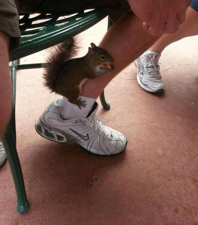 daily picdump 99 pics 41.html - 99 HD Photos | Premium Gallery 2018