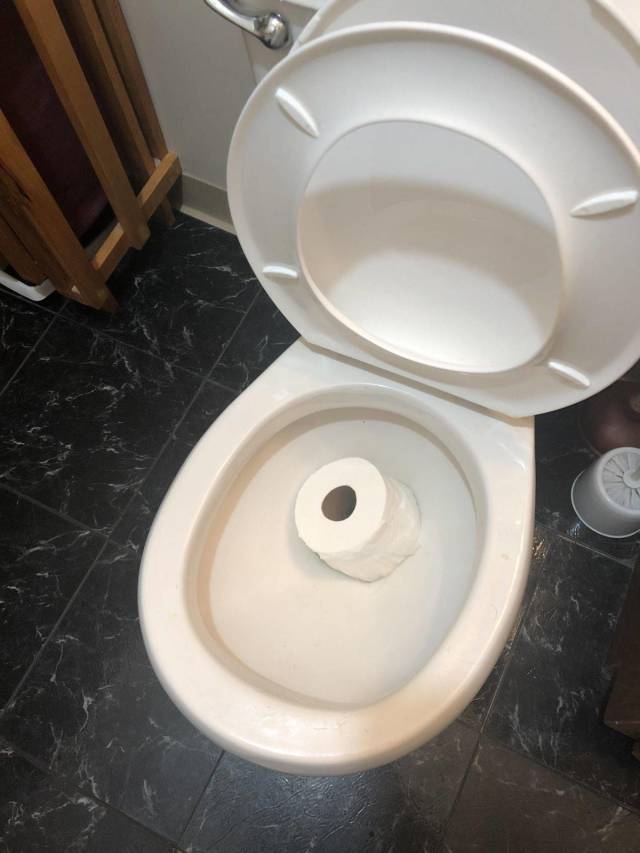 daily picdump 99 pics 41.html - 99 HD Photos | Premium Gallery 2018