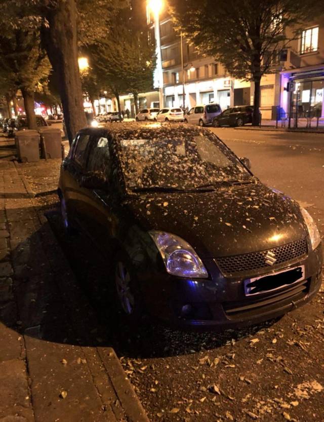 daily picdump 99 pics 41.html - 99 HD Photos | Premium Gallery 2018