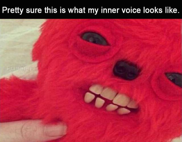 funny picdump 54 pics 17.html - 54 HD Photos | Premium Gallery 2018