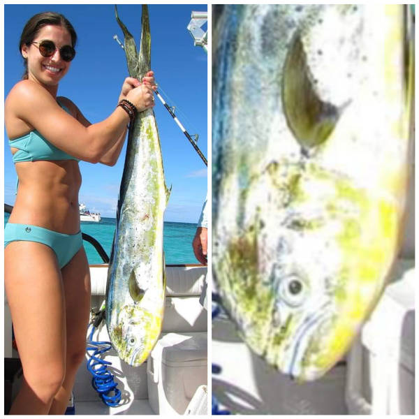 funny picdump 54 pics 17.html - 54 HD Photos | Premium Gallery 2018