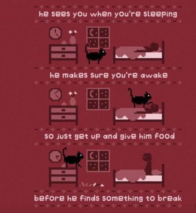 funny picdump 54 pics 17.html - 54 HD Photos | Premium Gallery 2018