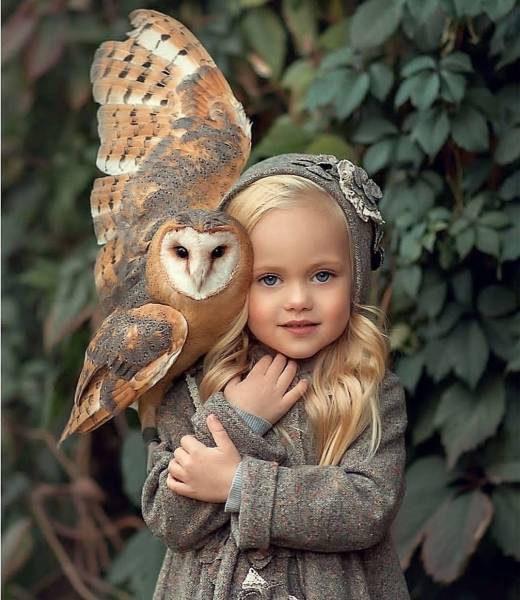 page,5,top 250 morning pics of the year 2018.html - 1 HD Photos | Premium Gallery 2018