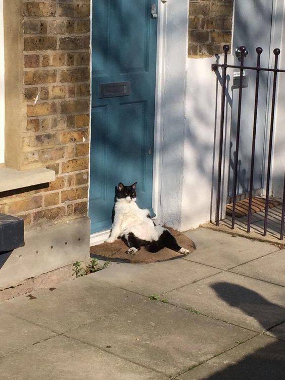 morning picdump 50 pics 46.html - 50 HD Photos | Premium Gallery 2018