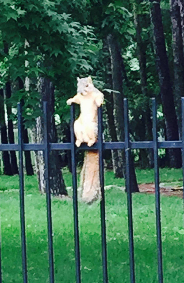 morning picdump 50 pics 46.html - 50 HD Photos | Premium Gallery 2018