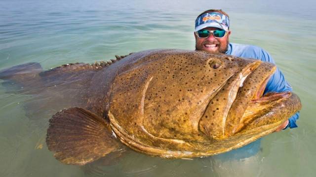 daily picdump 94 pics 33.html - 94 HD Photos | Premium Gallery 2018