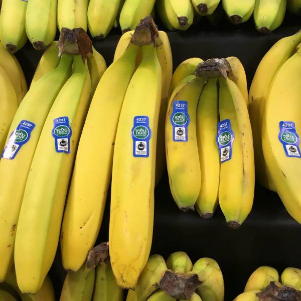 daily picdump 94 pics 33.html - 94 HD Photos | Premium Gallery 2018