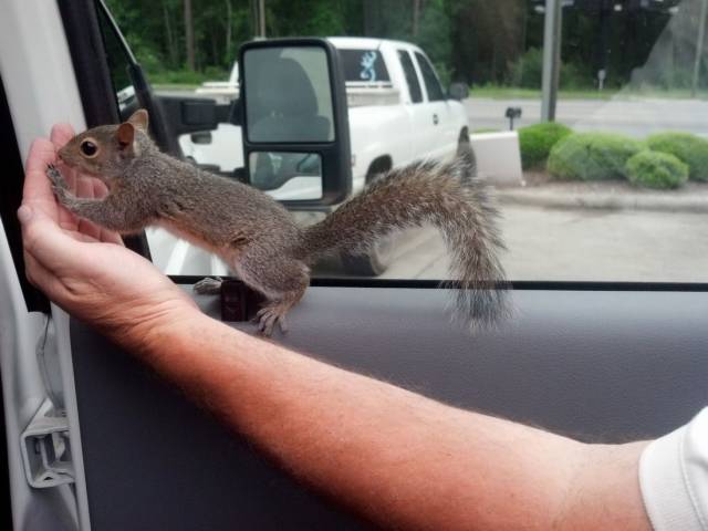 daily picdump 94 pics 33.html - 94 HD Photos | Premium Gallery 2018