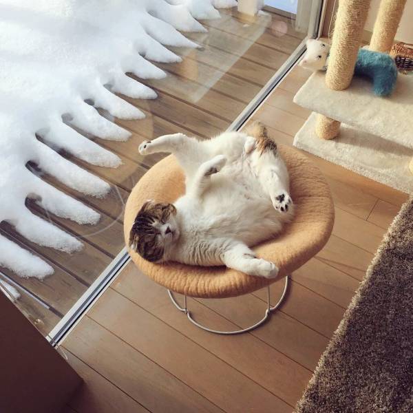 daily picdump 94 pics 33.html - 94 HD Photos | Premium Gallery 2018