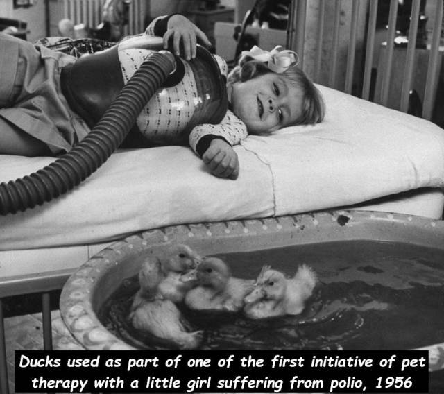 daily picdump 94 pics 33.html - 94 HD Photos | Premium Gallery 2018