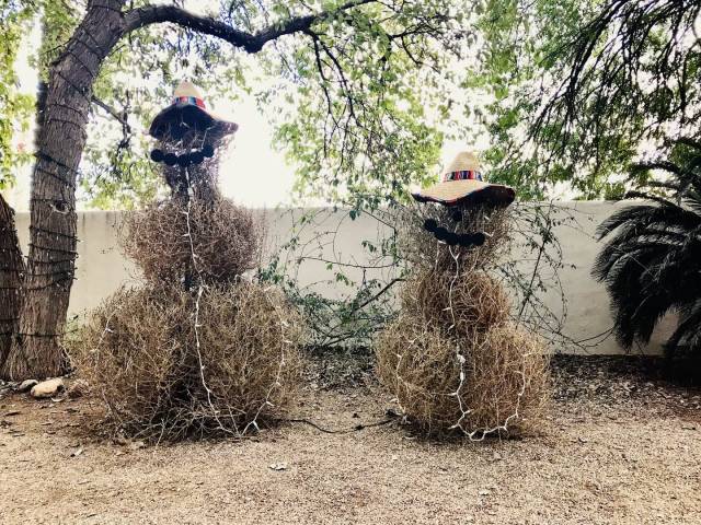 daily picdump 94 pics 33.html - 94 HD Photos | Premium Gallery 2018