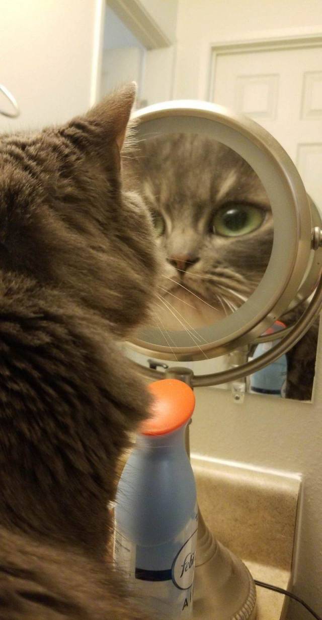 daily picdump 94 pics 33.html - 94 HD Photos | Premium Gallery 2018