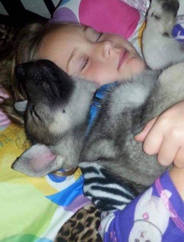 daily picdump 94 pics 33.html - 94 HD Photos | Premium Gallery 2018