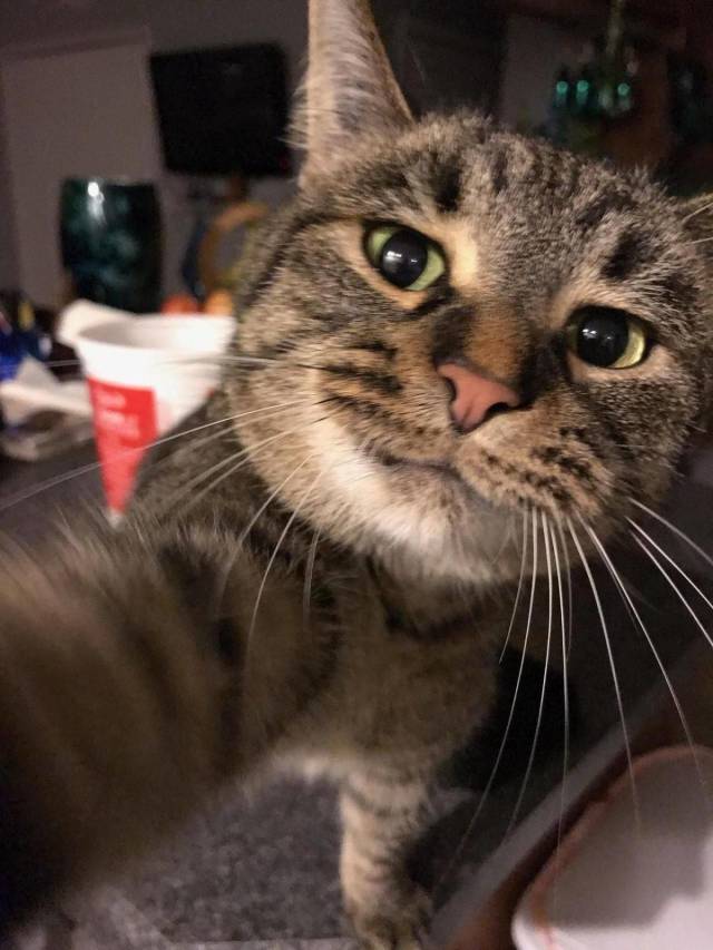 daily picdump 94 pics 33.html - 94 HD Photos | Premium Gallery 2018