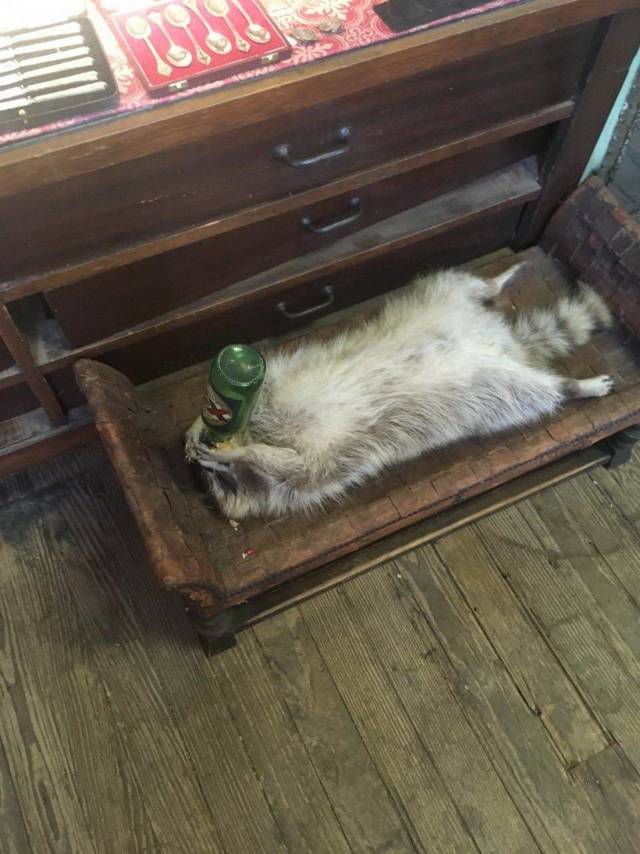 daily picdump 94 pics 33.html - 94 HD Photos | Premium Gallery 2018