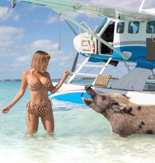 daily picdump 94 pics 33.html - 94 HD Photos | Premium Gallery 2018