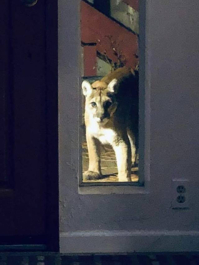 daily picdump 94 pics 33.html - 94 HD Photos | Premium Gallery 2018