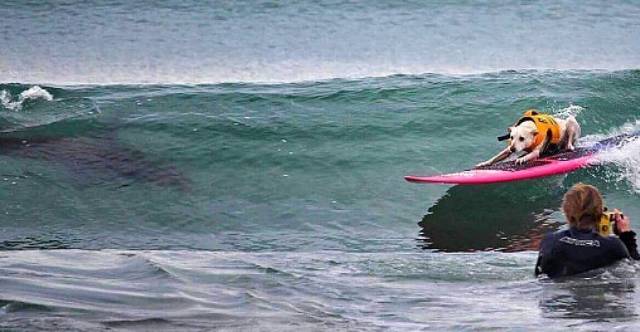 daily picdump 100 pics 30.html - 100 HD Photos | Premium Gallery 2018