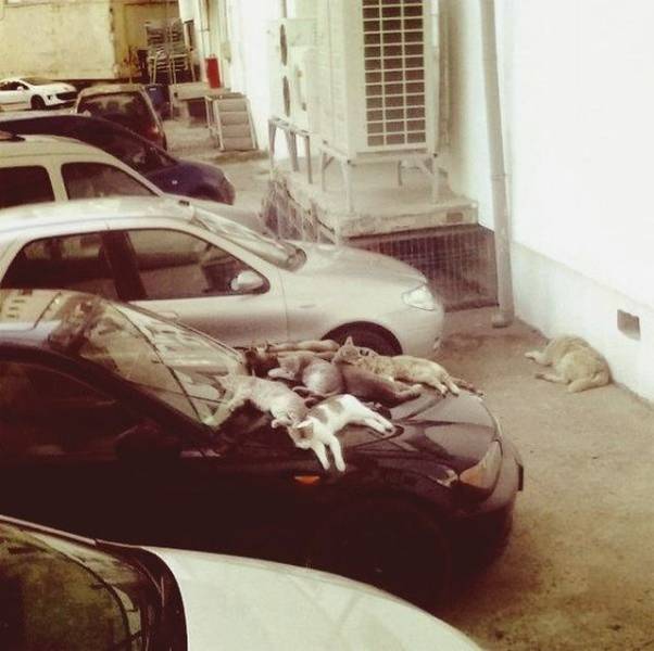 daily picdump 100 pics 30.html - 100 HD Photos | Premium Gallery 2018