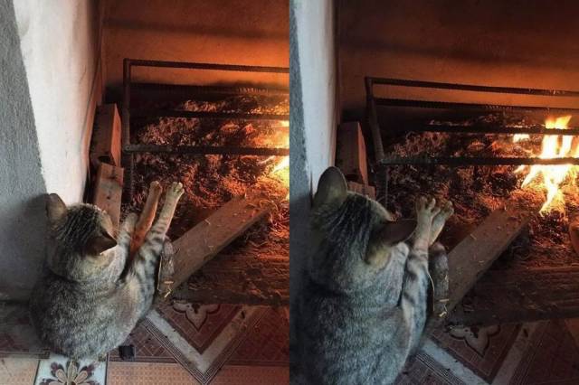 daily picdump 100 pics 30.html - 100 HD Photos | Premium Gallery 2018