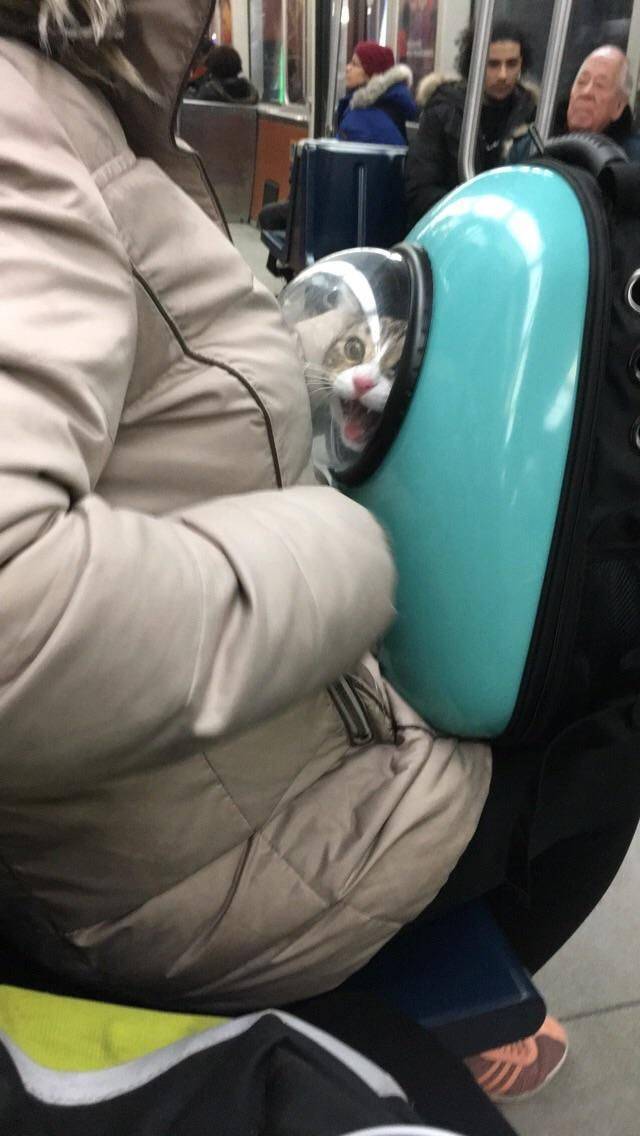 daily picdump 100 pics 30.html - 100 HD Photos | Premium Gallery 2018