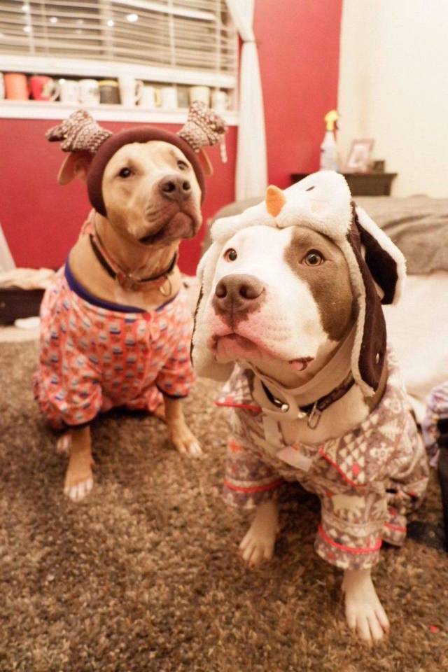 daily picdump 100 pics 30.html - 100 HD Photos | Premium Gallery 2018